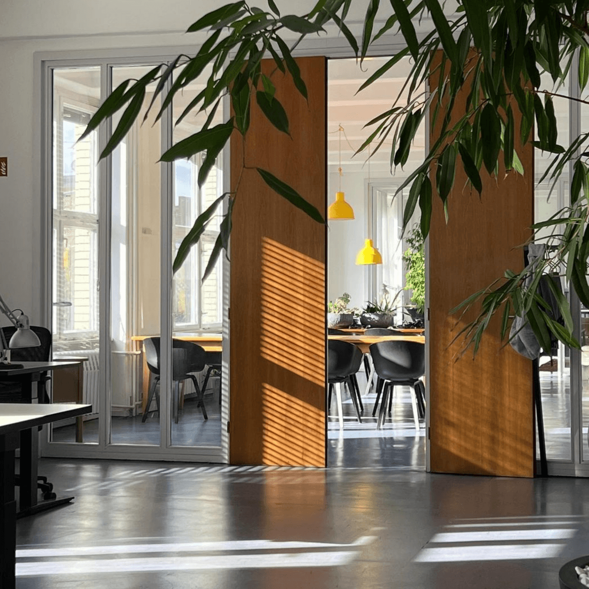 Innenraum vom Büro im Sonnenlicht und Blättern einer Pflanzen reinragend.